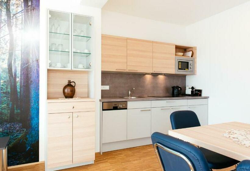 Апартаменты 1 Спальня, Aparthotel Heuberger