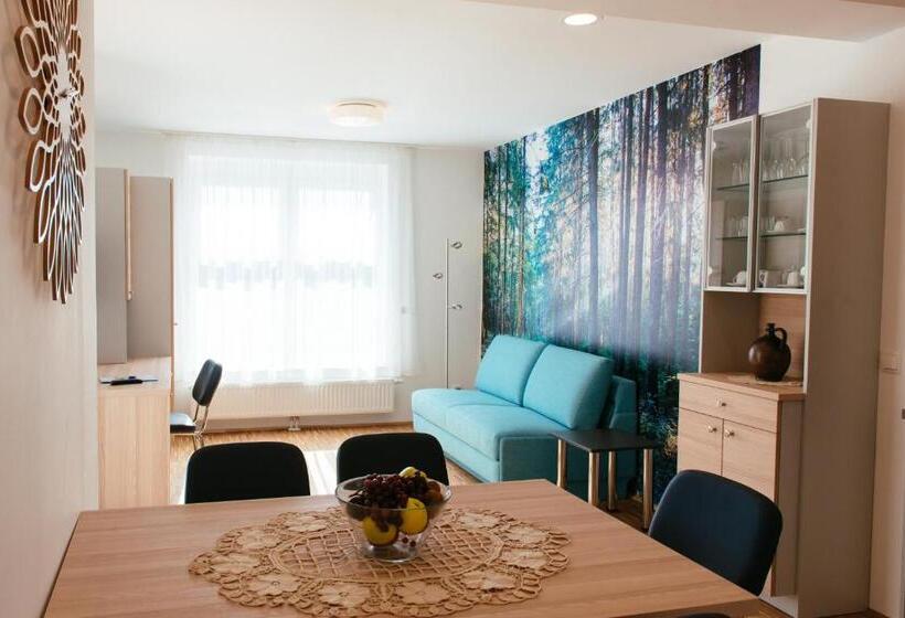 带1个卧室的公寓, Aparthotel Heuberger