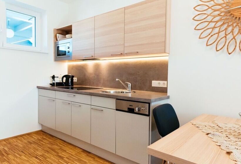Апартаменты 1 Спальня, Aparthotel Heuberger