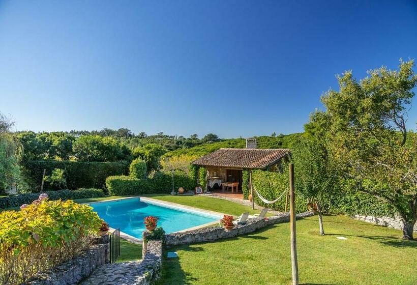 四人标准间, Country Village Senses   Quinta Exclusiva