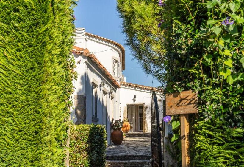 标准三人间, Country Village Senses   Quinta Exclusiva