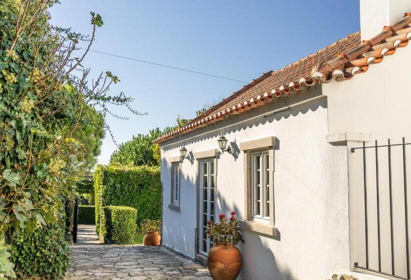 3间卧室的房子, Country Village Senses   Quinta Exclusiva