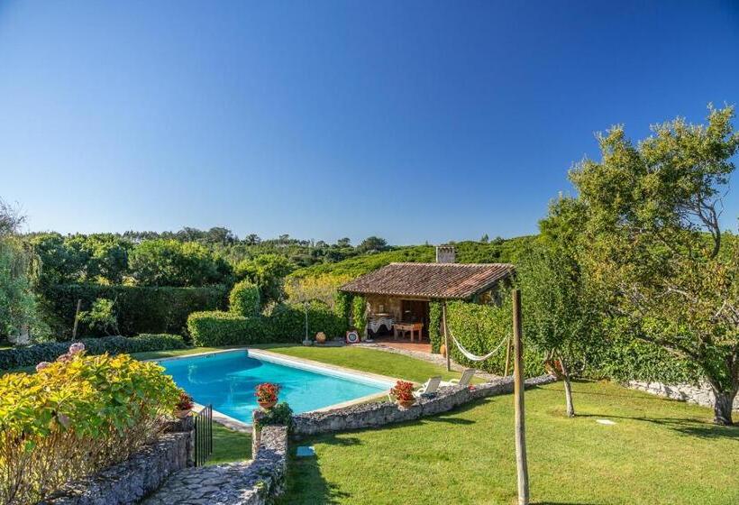 4间卧室的房子, Country Village Senses   Quinta Exclusiva