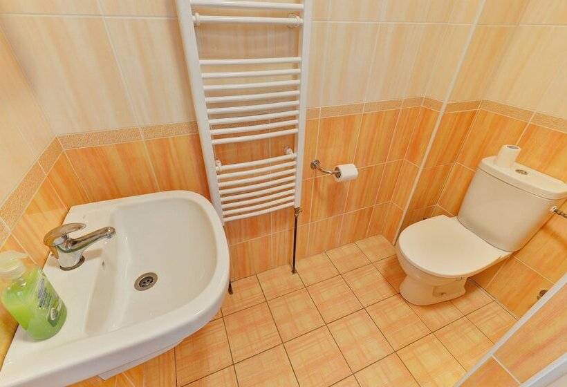 四人标准间, Sporthotel Bk Pod Lipou