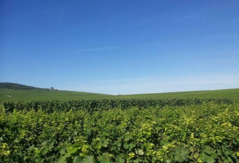 Номер Deluxe, Le Château De Courmelois