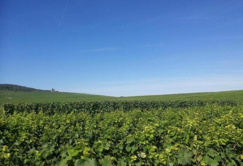 Люкс Повышенной Комфортности, Le Château De Courmelois