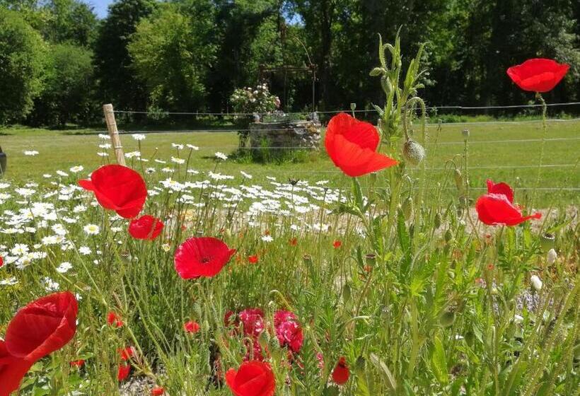 Люкс Повышенной Комфортности, Le Château De Courmelois