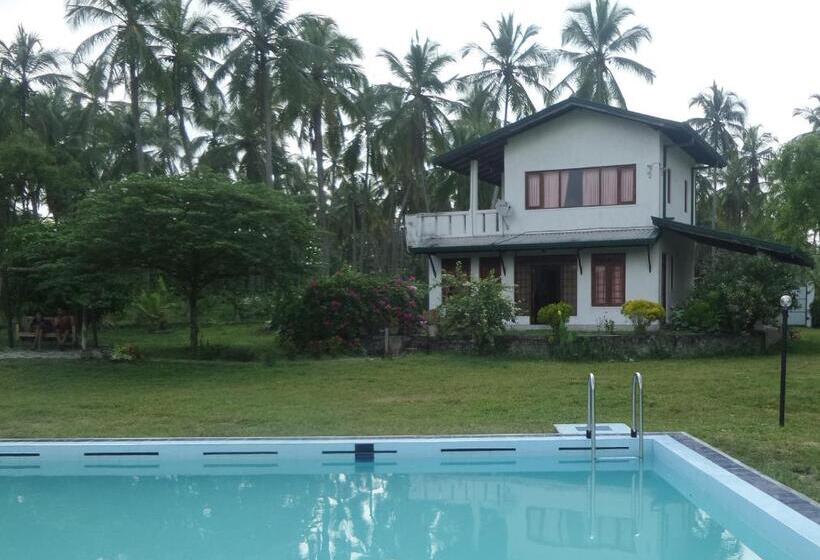 חדר דחוקס עם מיטת קינג, Cocoworld Bungalow