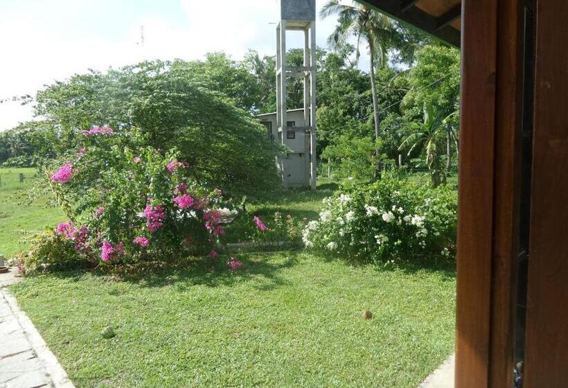 חדר דחוקס עם מיטת קינג, Cocoworld Bungalow