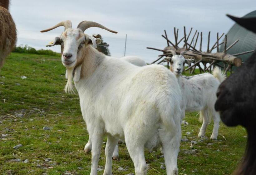 آپارتمان دوبلکس 1 خوابه, Schnatterhof