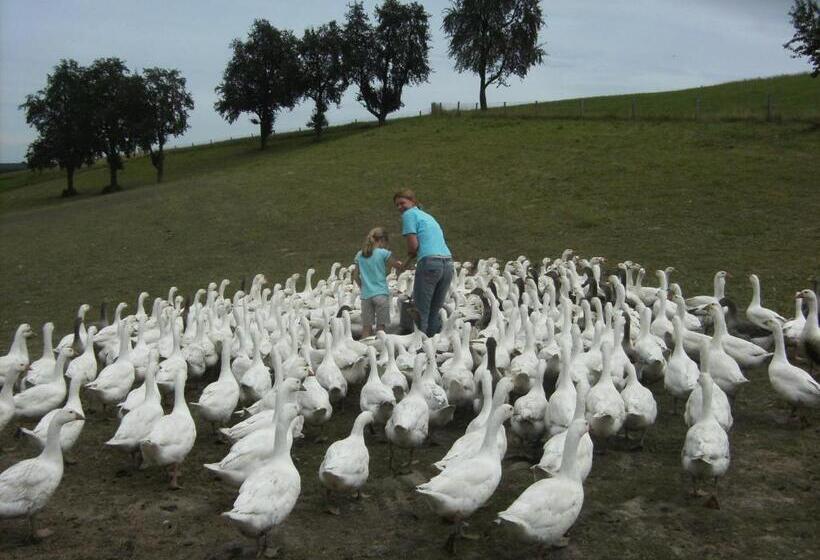 آپارتمان دوبلکس 1 خوابه, Schnatterhof