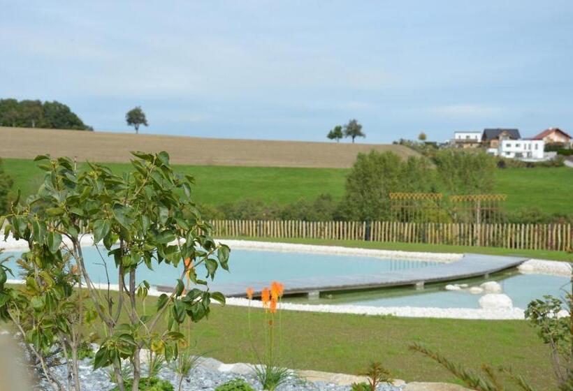 آپارتمان 1 خوابه همکف, Schnatterhof