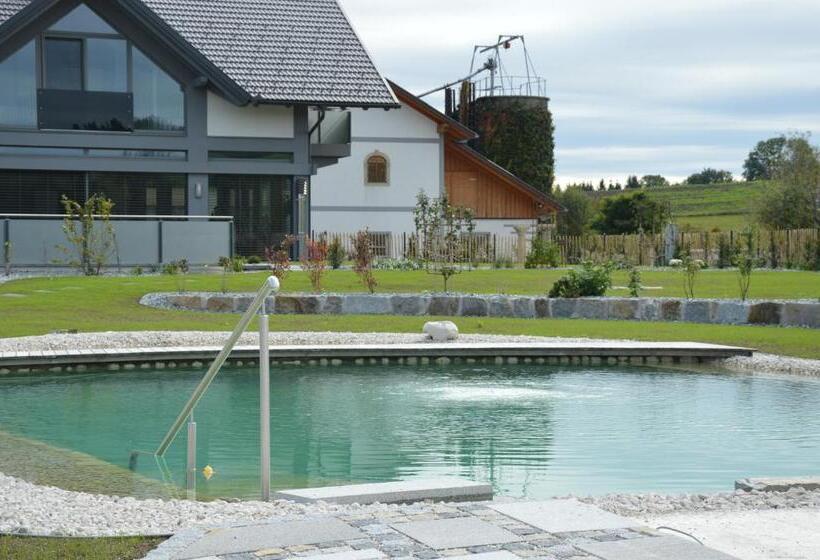 آپارتمان 1 خوابه همکف, Schnatterhof