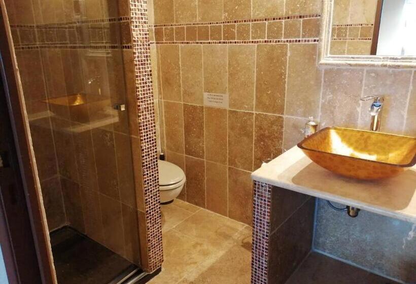 스탠다드 룸, Domaine De Prefaissal