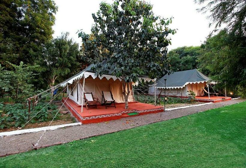 Deluxe Tent, Bhadrawati A Riverside Safari Lodge Ranthambore