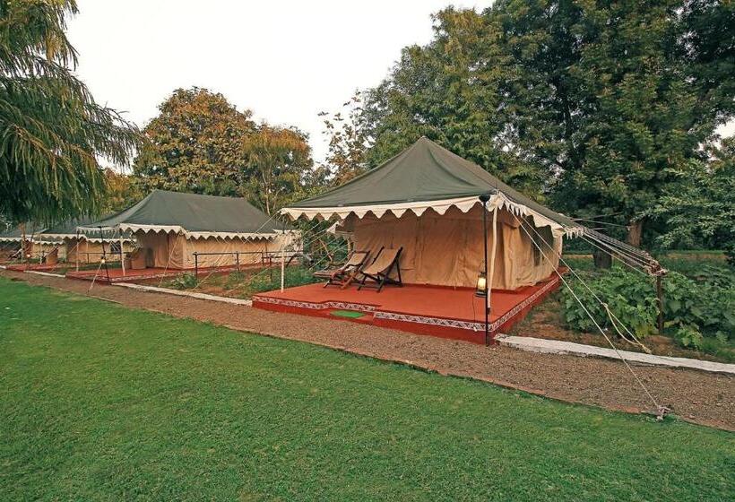 Deluxe Tent, Bhadrawati A Riverside Safari Lodge Ranthambore