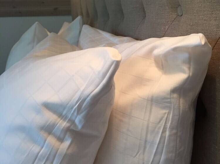 غرفة قياسية داخلية, Villa Hasselbacken