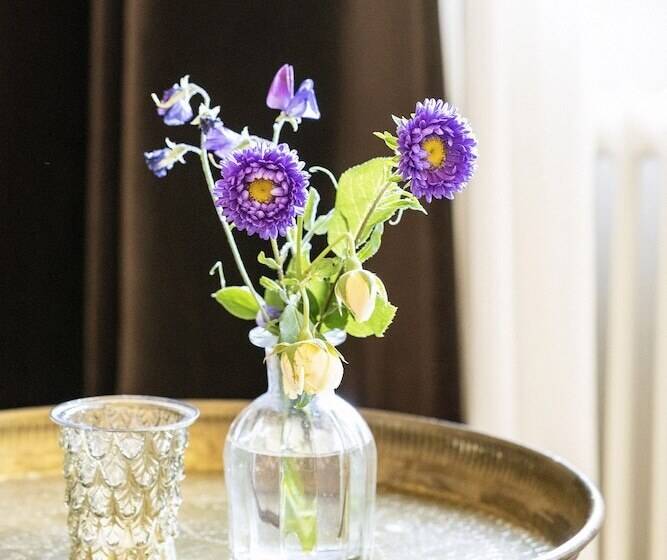 غرفة قياسية, Villa Hasselbacken