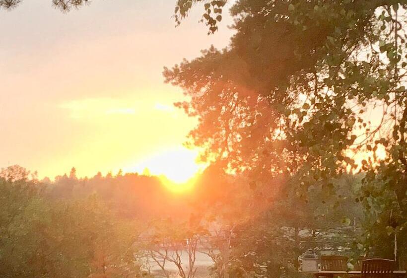 低层单卧公寓, Villa Sofia