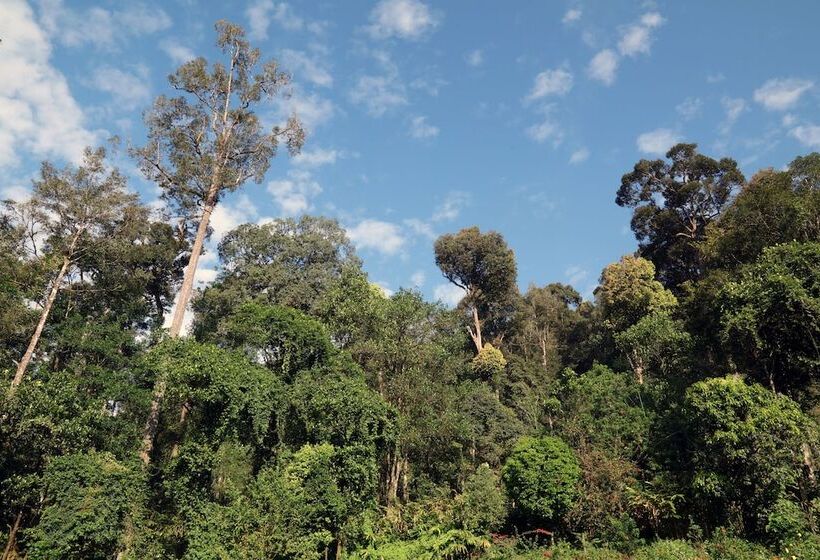 침실 1개 주택, Dew Drops Farm Resorts