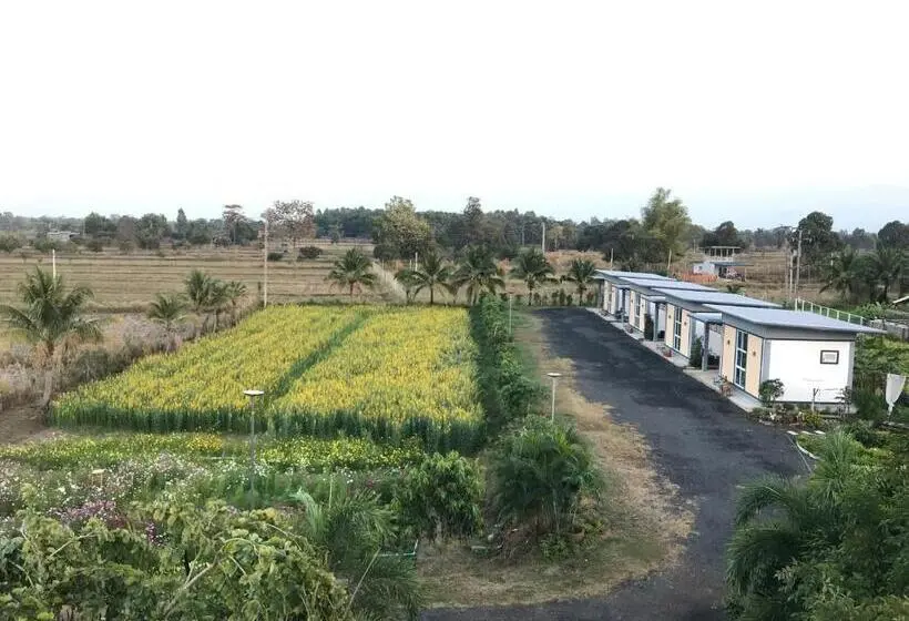 ガーデンビュースタンダードルーム, Ok Farm Resort