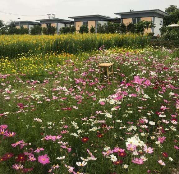 스탠다드 룸 가든 전망, Ok Farm Resort