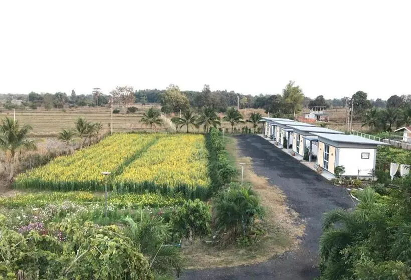 スタンダードルーム, Ok Farm Resort