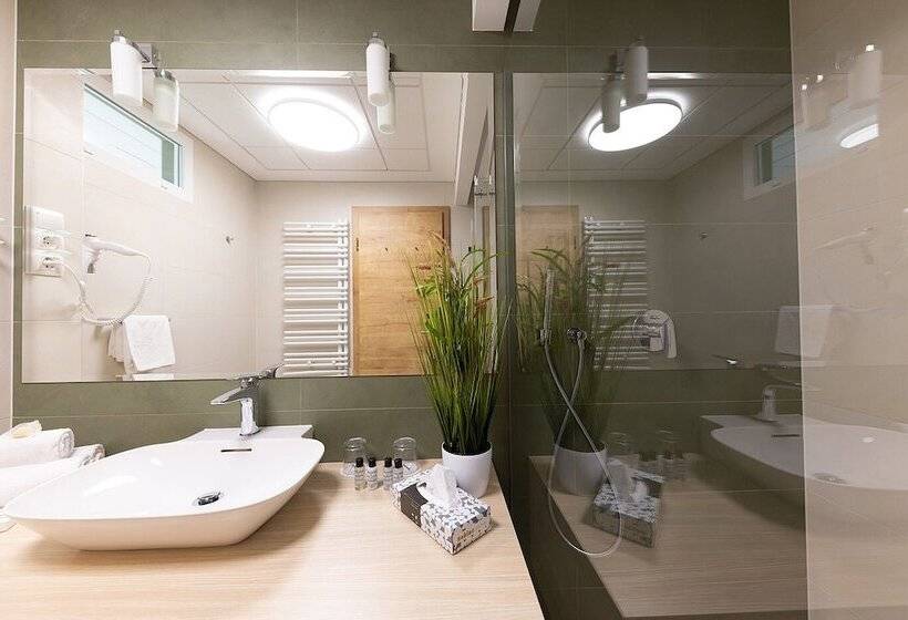 חדר סטנדרט, Nádas Tó Park