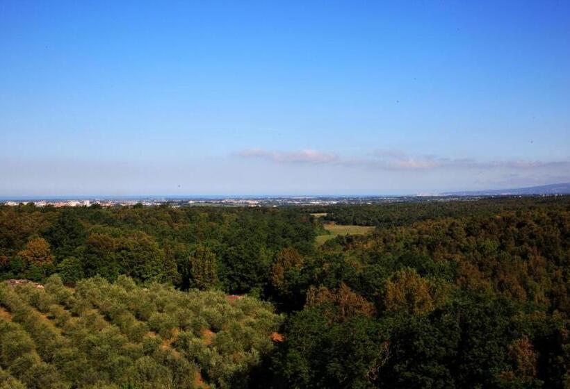 Swim-up suite, Morf Suites