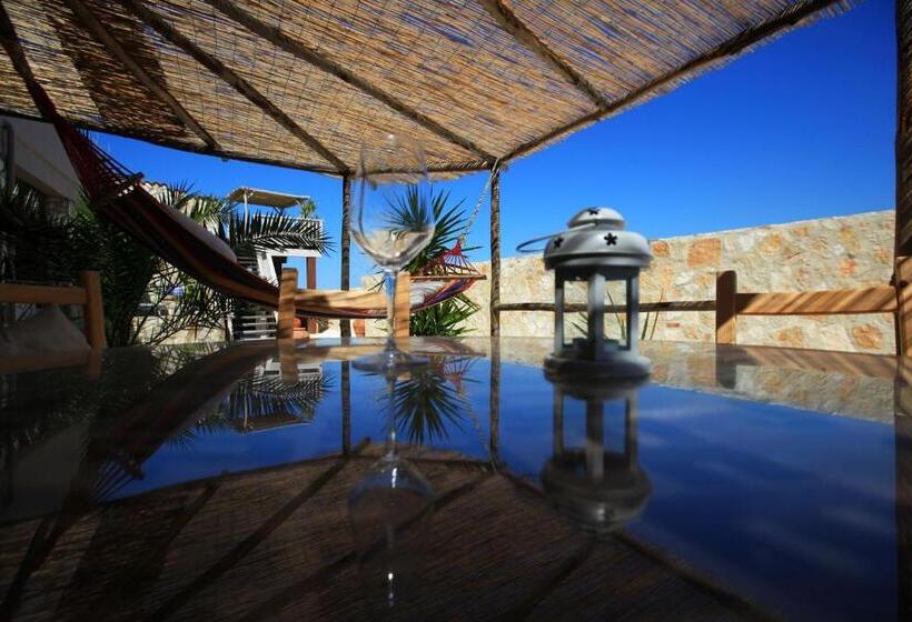 スイート, Morf Suites