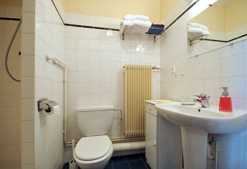 Апартаменты 1 Спальня, Ancien Presbytere Albert Schweitzer