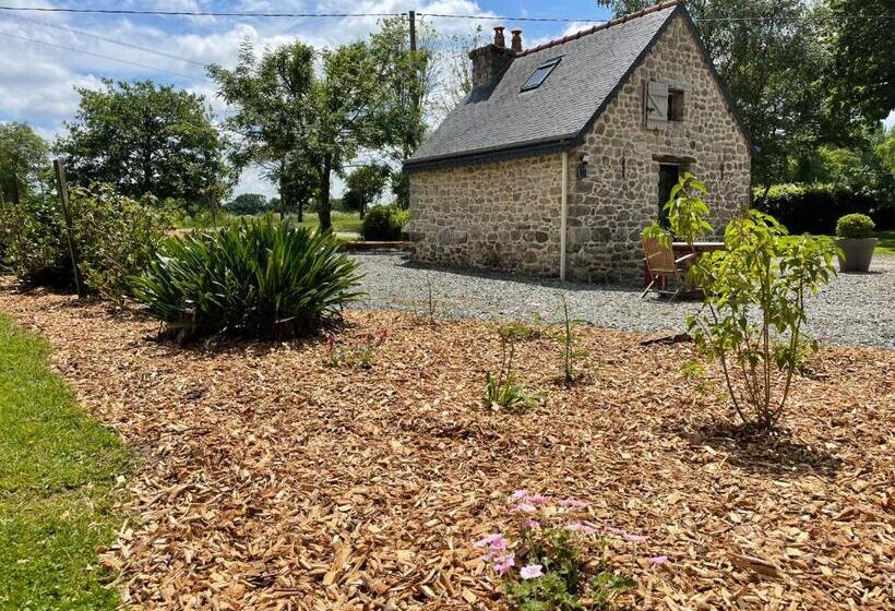 إستوديو ديلوكس, A L Orée Du Bois