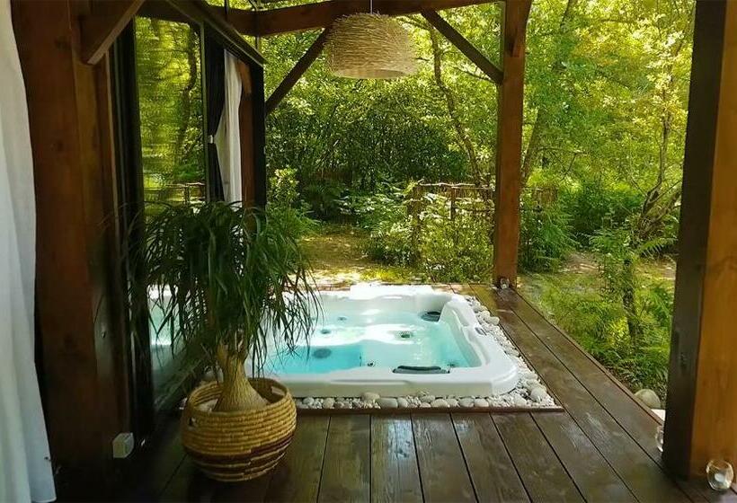 Номер Стандарт с Гидромассажем, Les Landines