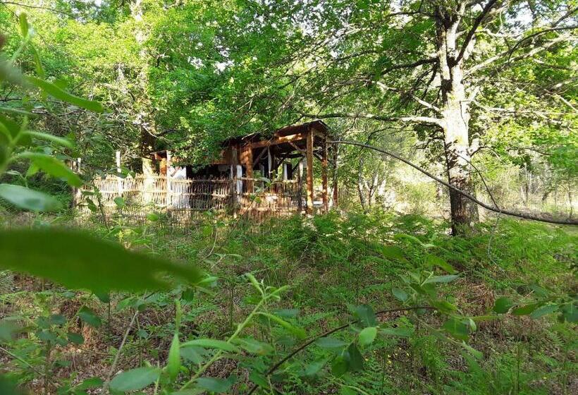 Номер Стандарт с Гидромассажем, Les Landines