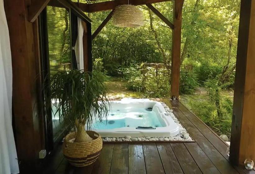 Номер Стандарт с Гидромассажем, Les Landines