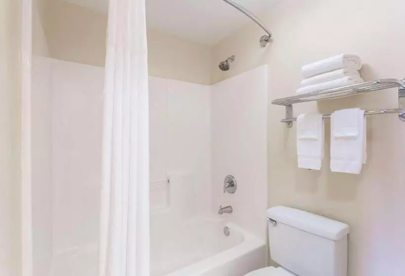 اتاق استاندارد با 2 تخت دوبل, Baymont By Wyndham Lakeland