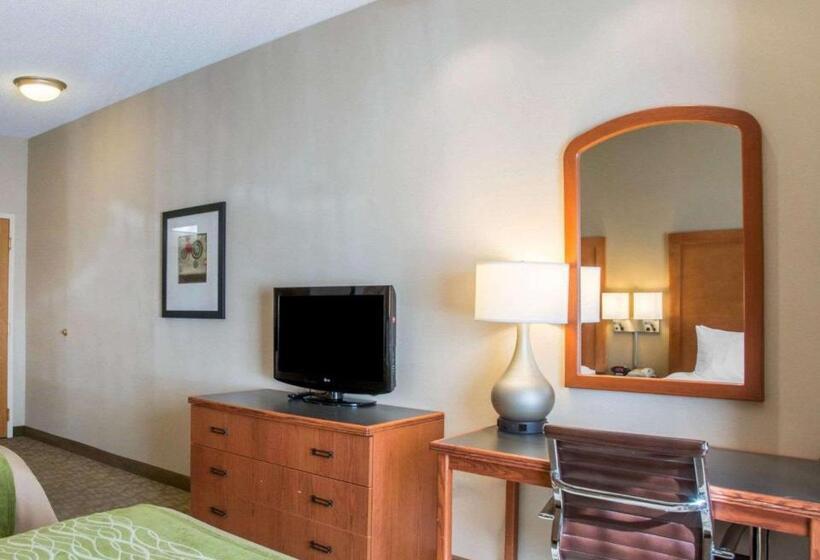 Номер Стандарт, Comfort Inn & Suites West Chester   North Cincinnati