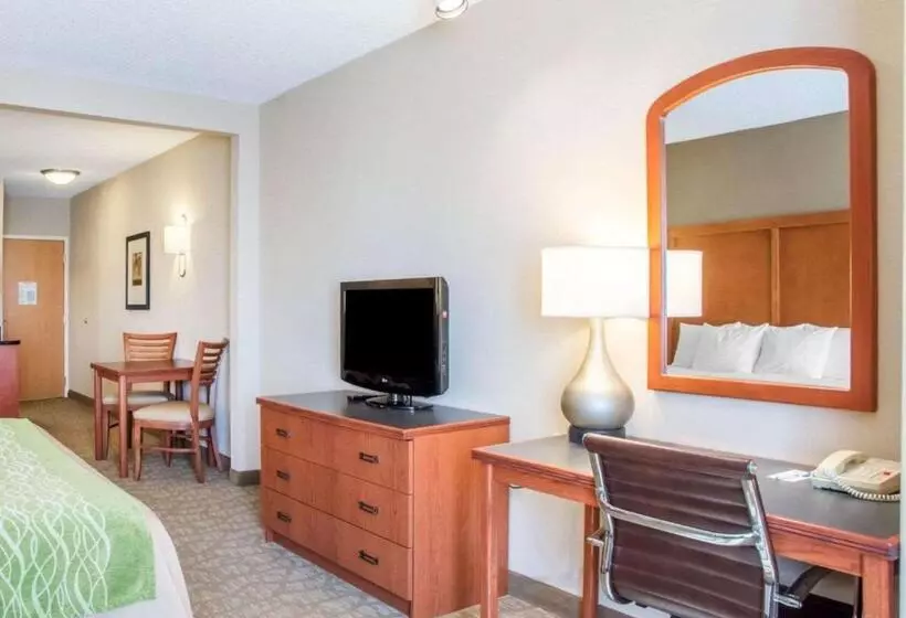 Sviitti King-vuode, Comfort Inn & Suites West Chester North Cincinnati