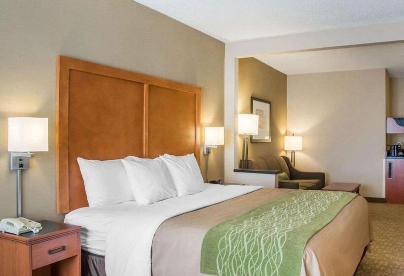 جناح سرير كينج, Comfort Inn & Suites West Chester   North Cincinnati