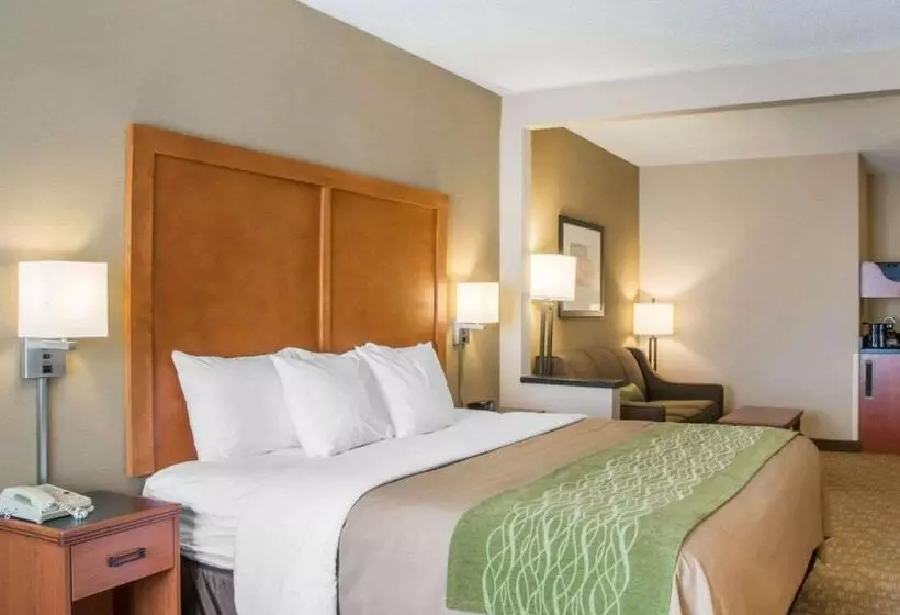 Sviitti King-vuode, Comfort Inn & Suites West Chester North Cincinnati