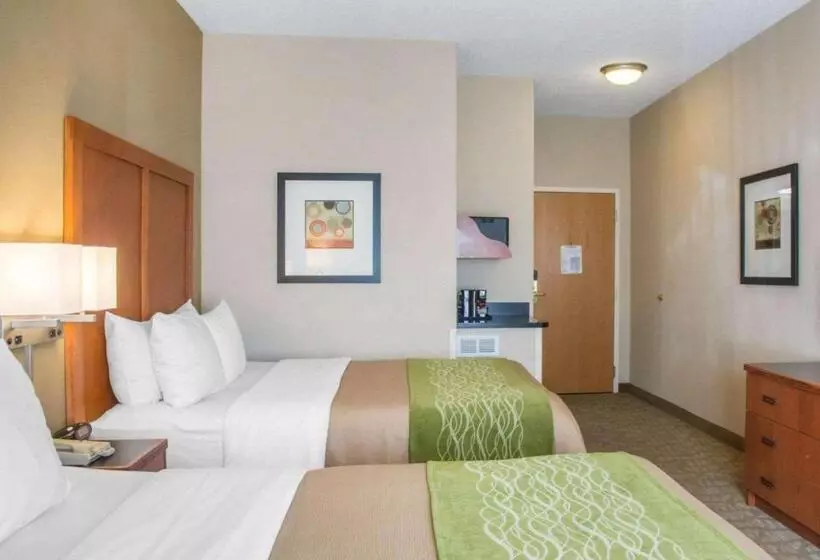 Standard-invahuone, Comfort Inn & Suites West Chester North Cincinnati