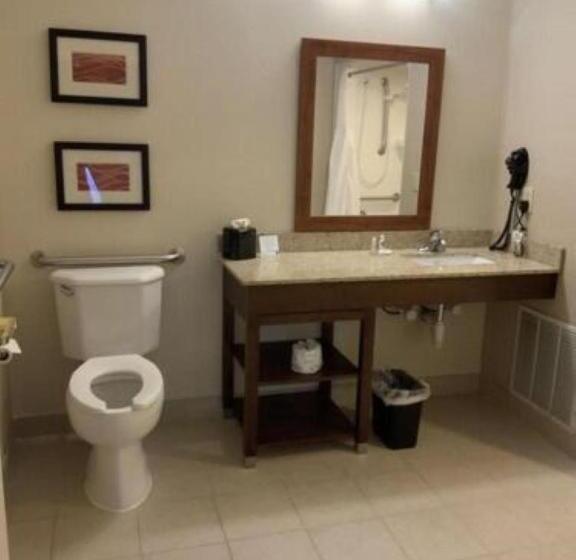 Номер Стандарт Адаптированный для Инвалидов, Comfort Inn & Suites West Chester   North Cincinnati