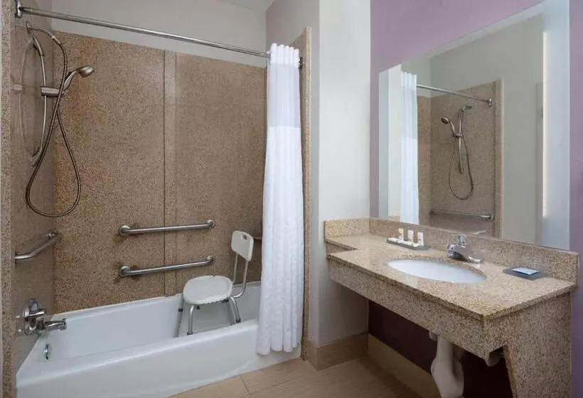 身障者適用キングサイズベッドルーム, La Quinta By Wyndham Snellville Stone Mountain