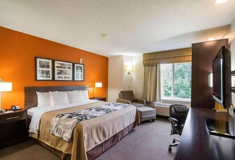 キングサイズベッドのスタンダードルーム, Sleep Inn & Suites