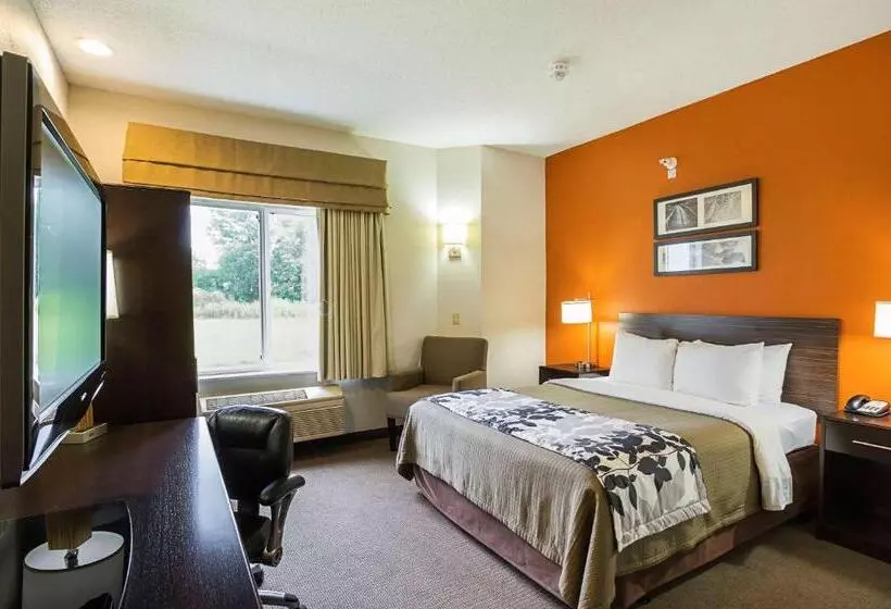 キングサイズベッドのスタンダードルーム, Sleep Inn & Suites
