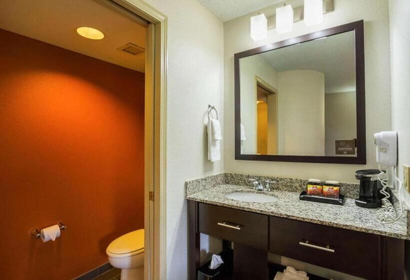 Стандартный Номер Кровать Кинг, Sleep Inn & Suites