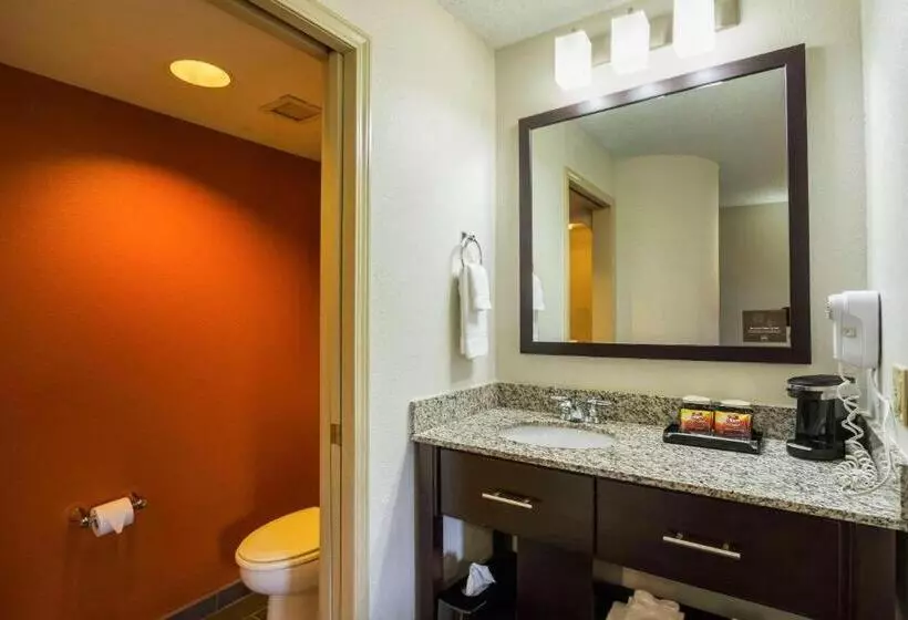 キングサイズベッドのスタンダードルーム, Sleep Inn & Suites