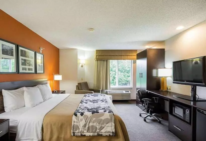 キングサイズベッドのスタンダードルーム, Sleep Inn & Suites