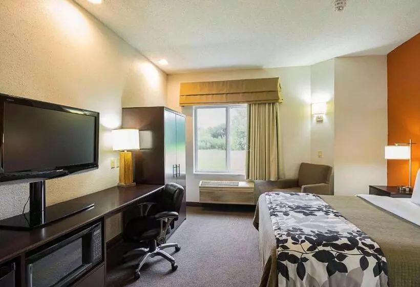身障者適用キングサイズベッドルーム, Sleep Inn & Suites