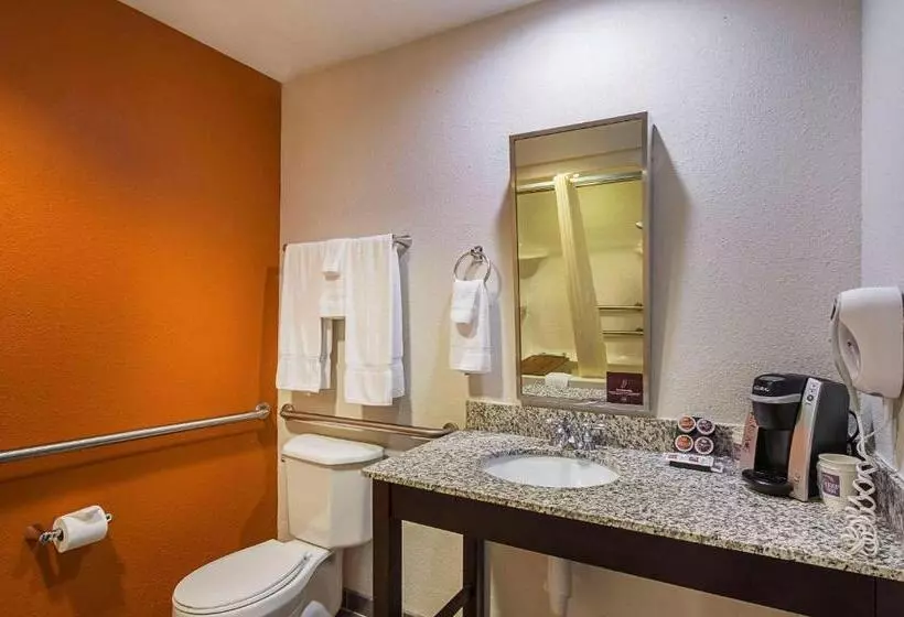 身障者適用キングサイズベッドルーム, Sleep Inn & Suites
